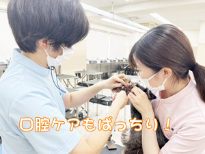 血液検査と健康チェック！